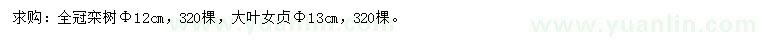求購(gòu)欒樹、大葉女貞