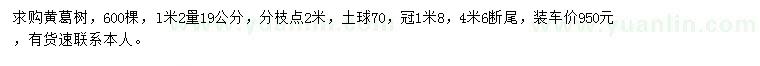 求購l.2米量19公分黃葛樹
