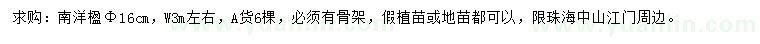求購胸徑16公分南洋楹