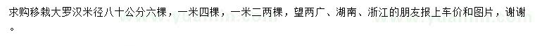 求購移栽大羅漢松