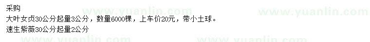求購30公分起量3公分大葉女貞、30公分起量2公分速生紫薇