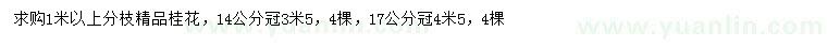求購14、17公分桂花