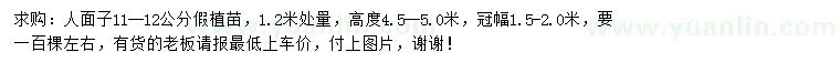 求購11-12公分人面子