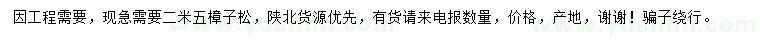 求購(gòu)高2.5米樟子松