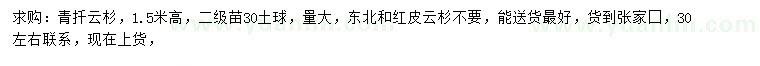 求購高1.5米青扦云杉