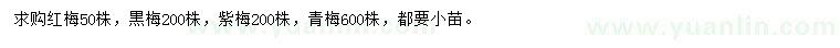 求購(gòu)紅梅、黒梅、紫梅等