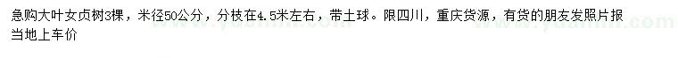 求購米徑50公分大葉女貞