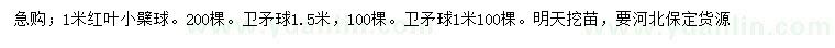 求購高1米紅葉小檗球