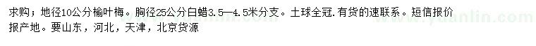 求購(gòu)地徑10公分榆葉梅、胸徑25公分白蠟