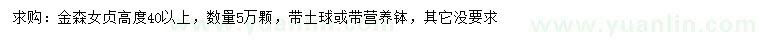 求購高40公分以上金森女貞