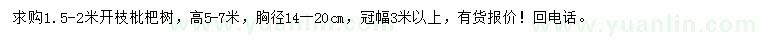 求購高5-7米枇杷樹