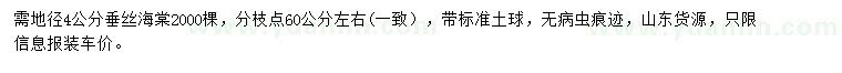 求購4公分垂絲海棠