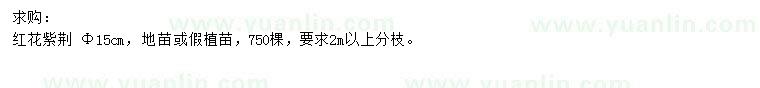 求購(gòu)米徑15公分紅花紫荊