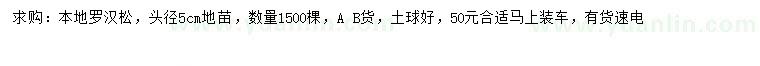 求購頭徑5公分羅漢松