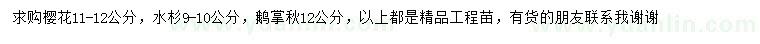 求購櫻花、水杉、鵝掌楸