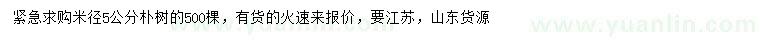 求購米徑5公分樸樹