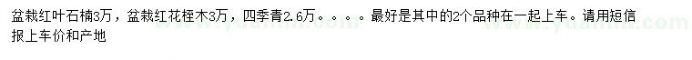 求購(gòu)盆栽紅葉石楠、紅花桎木、四季青