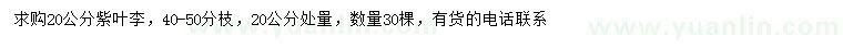 求購(gòu)20公分紫葉李