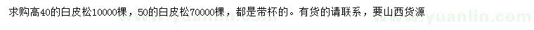 求購高40、50公分白皮松