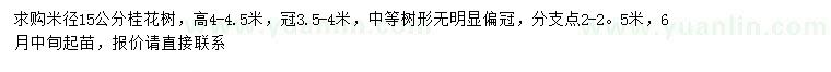 求購米徑15公分桂花