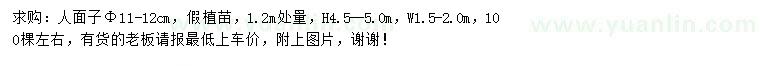 求購米徑11-12公分人面子