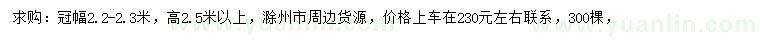 求購高2.5米以上本石楠