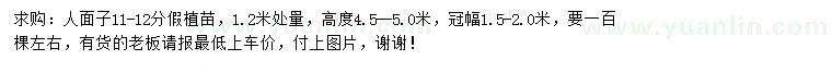 求購11-12公分人面子