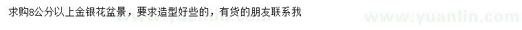求購8公分以上金銀花盆景