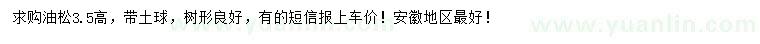 求購高3.5公分油松