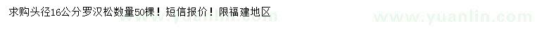 求購頭徑16公分羅漢松