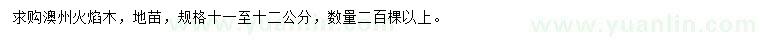 求購11-12公分澳州火焰木