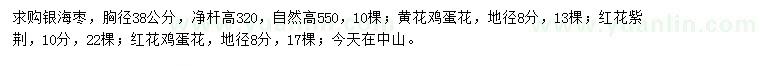 求購銀海棗、黃花雞蛋花、紅花紫荊等