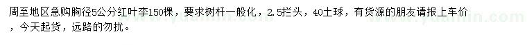 求購(gòu)5公分紅葉李