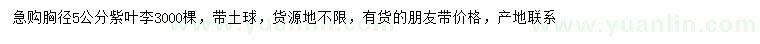 求購胸徑5公分紫葉李