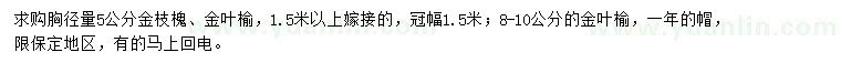 求購(gòu)金枝槐、金葉榆