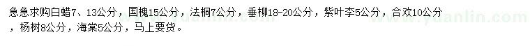 求購白蠟、國槐、法桐等
