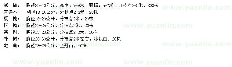 求購榔榆、黃連木、楊槐等