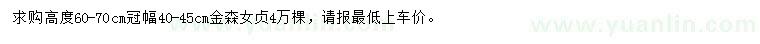 求購高60-70公分金森女貞