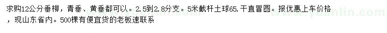 求購12公分垂柳