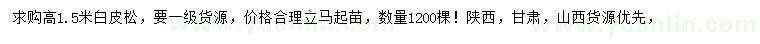 求購高1.5米白皮松