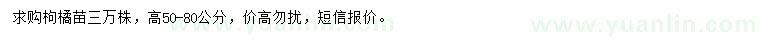 求購高50-80公分枸橘苗