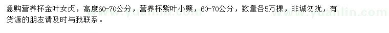 求購(gòu)金葉女貞、紫葉小檗