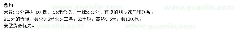 求購米徑5公分欒樹、8公分香樟