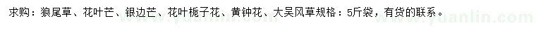 求購狼尾草、花葉芒、銀邊芒等