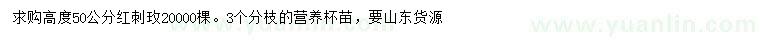 求購高50公分紅刺玫