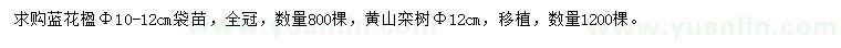 求購藍花楹、黃山欒樹