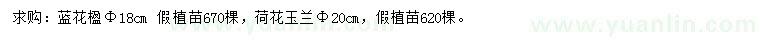 求購藍花楹、荷花玉蘭