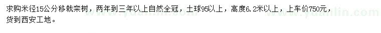 求購米徑15公分移栽欒樹