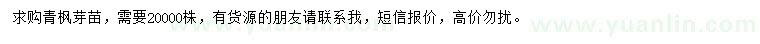 求購青楓芽苗