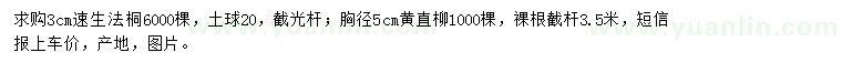 求購3公分速生法桐、胸徑5公分黃直柳